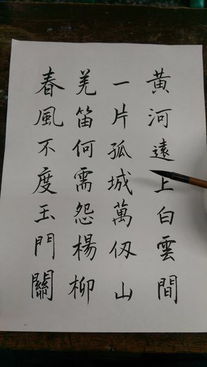 IMAG0583