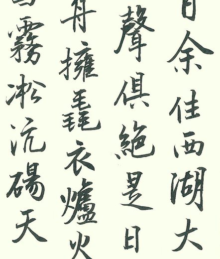 掃描 8-001