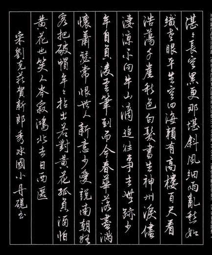 掃描 5