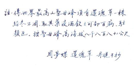 掃描 35-002