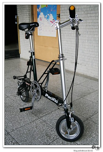 城市漫遊，請帶我走吧！ 07 pacific carryme ( carry me)