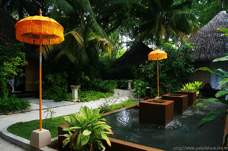 Honeymoon in Maldives