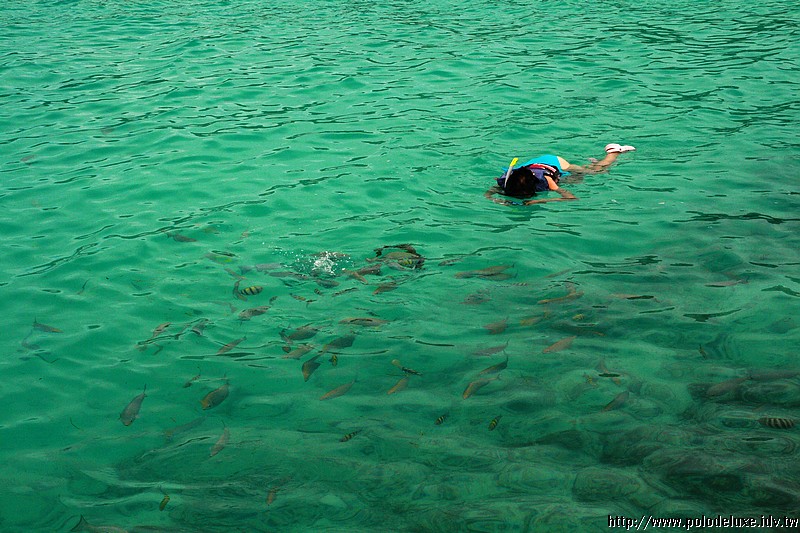 Honeymoon in Maldives