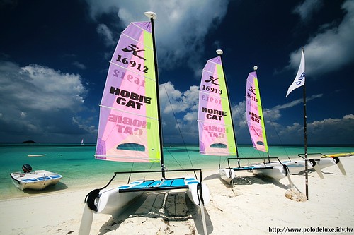 Honeymoon in Maldives-活動活動