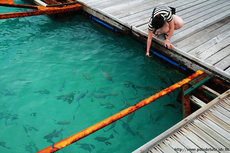 Kani,Maldives