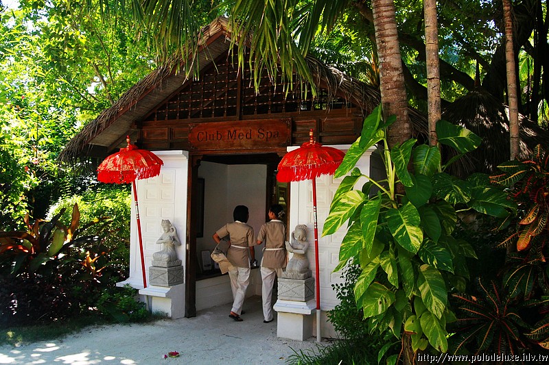 Honeymoon in Maldives