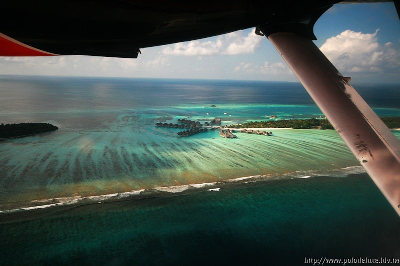 Honeymoon in Maldives