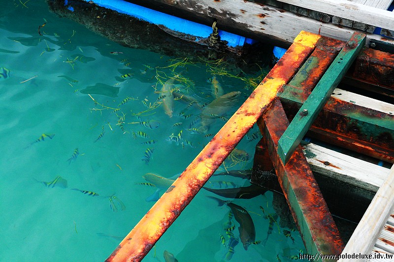 Kani,Maldives