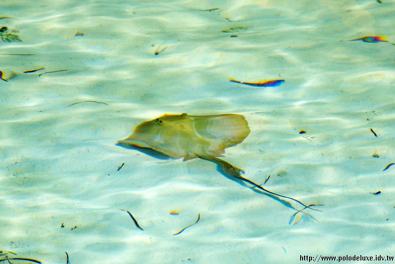 Lagoon suite,Kani,Maldives