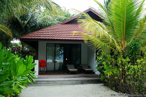 Homeymoon in Maldives-Deluxe Room濱海豪華房