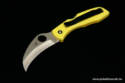 男人的玩具-Spyderco Tasman Salt
