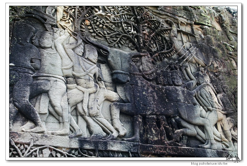 ANGKOR238.jpg